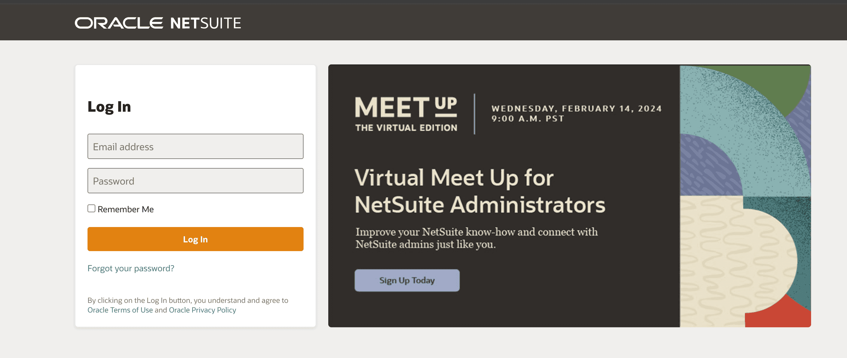 NetSuite Screenshot
